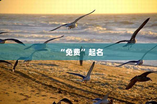 “免费”起名