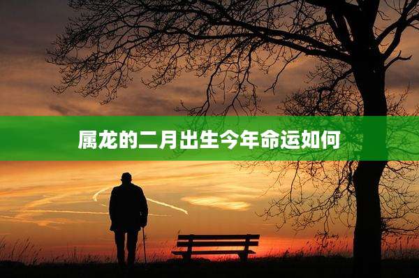 属龙的二月出生今年命运如何