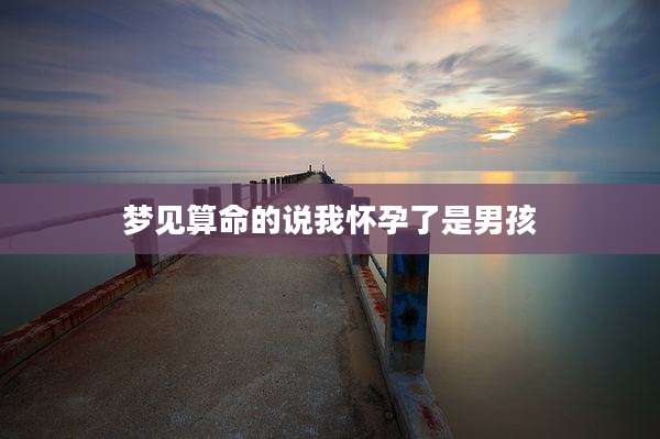 梦见算命的说我怀孕了是男孩
