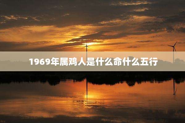 1969年属鸡人是什么命什么五行