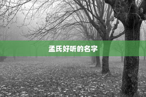 孟氏好听的名字