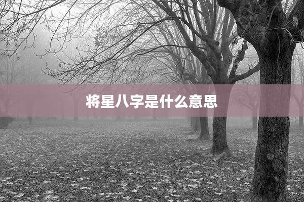 将星八字是什么意思