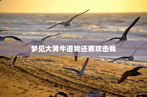 梦见大黄牛追我还要攻击我