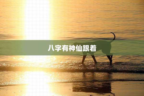 八字有神仙跟着