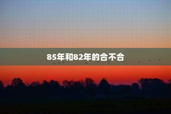85年和82年的合不合