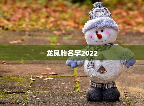 龙凤胎名字2022