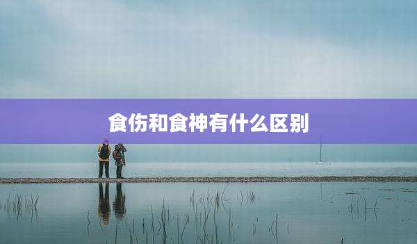 食伤和食神有什么区别