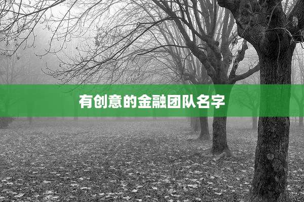 有创意的金融团队名字