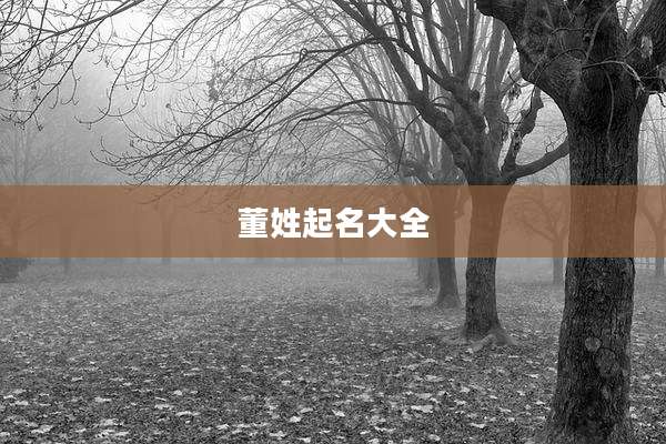董姓起名大全