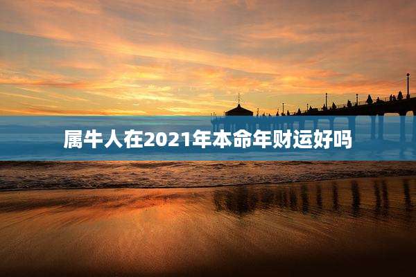 属牛人在2021年本命年财运好吗