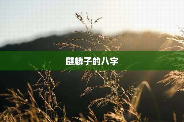 麒麟子的八字