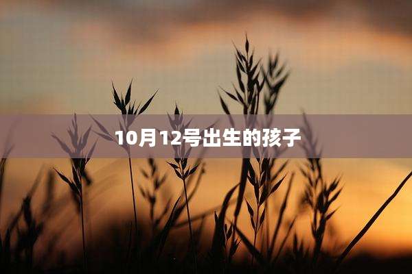10月12号出生的孩子
