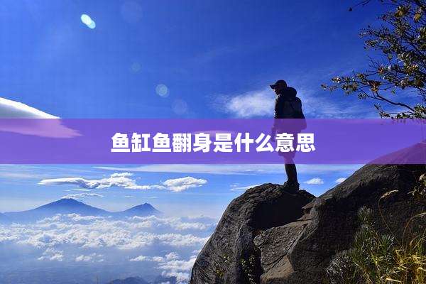 鱼缸鱼翻身是什么意思