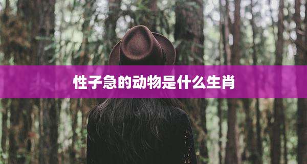 性子急的动物是什么生肖