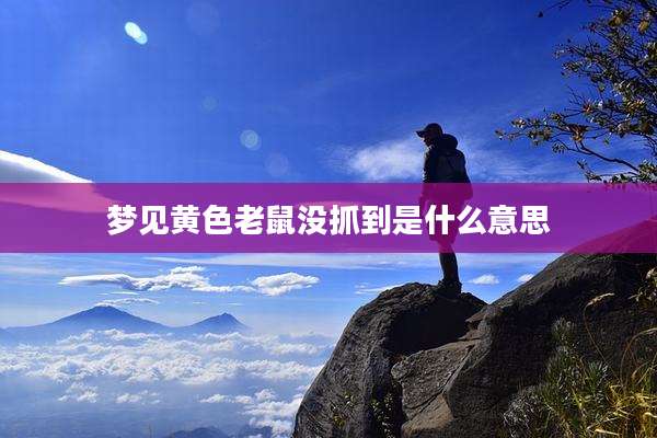 梦见黄色老鼠没抓到是什么意思