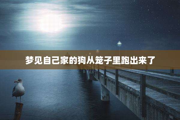 梦见自己家的狗从笼子里跑出来了