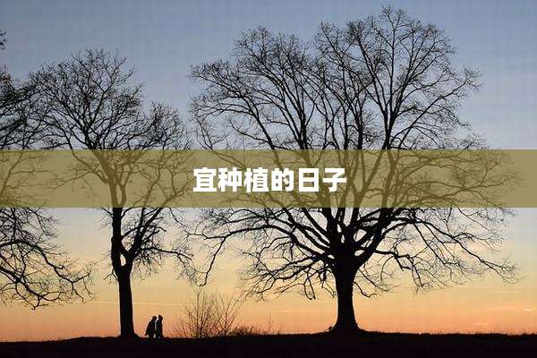 宜种植的日子