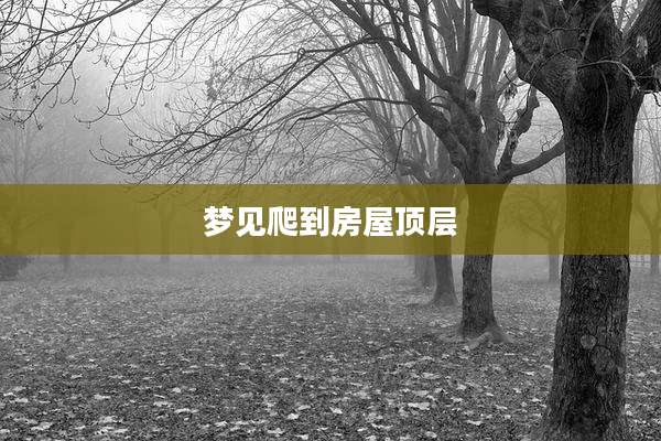 梦见爬到房屋顶层