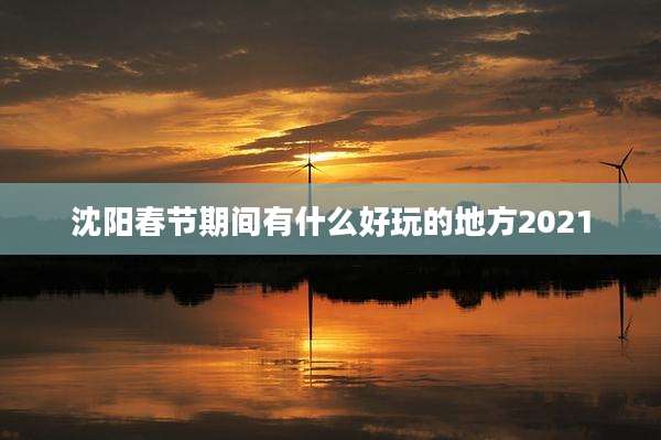 沈阳春节期间有什么好玩的地方2021
