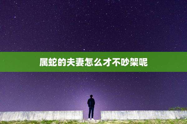 属蛇的夫妻怎么才不吵架呢