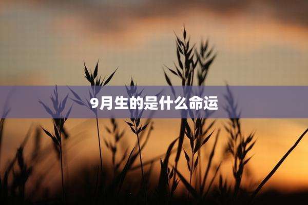 9月生的是什么命运