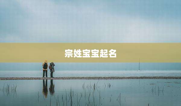 宗姓宝宝起名