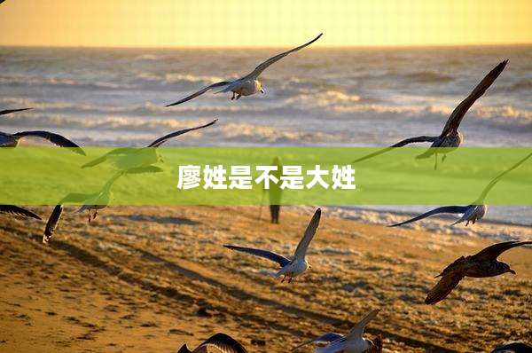 廖姓是不是大姓