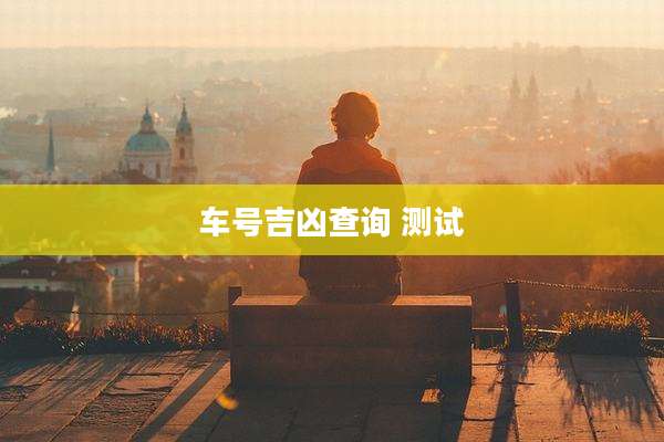 车号吉凶查询 测试