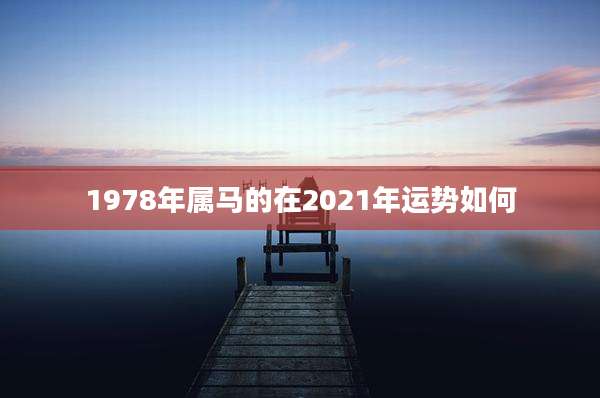1978年属马的在2021年运势如何
