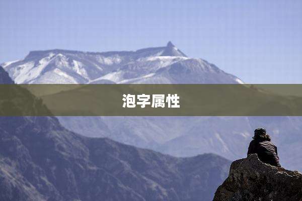 泡字属性