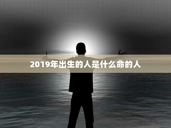 2019年出生的人是什么命的人