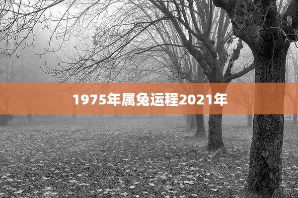 1975年属兔运程2021年