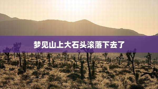 梦见山上大石头滚落下去了