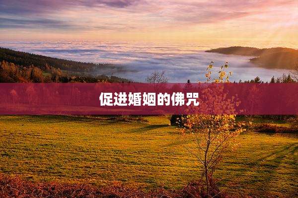 促进婚姻的佛咒