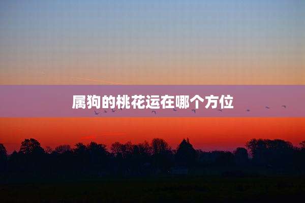 属狗的桃花运在哪个方位