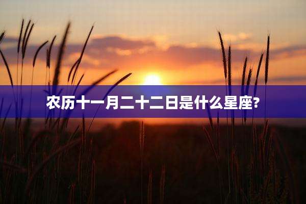 农历十一月二十二日是什么星座?