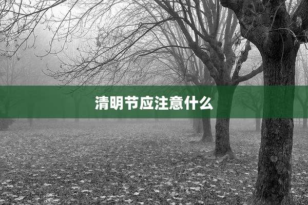 清明节应注意什么