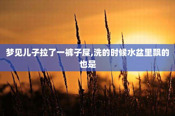 梦见儿子拉了一裤子屎,洗的时候水盆里飘的也是