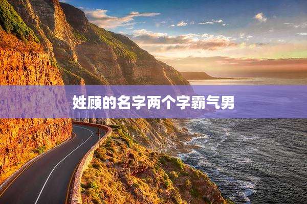 姓顾的名字两个字霸气男