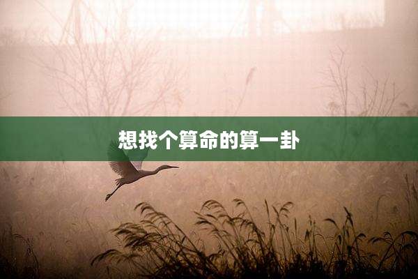想找个算命的算一卦