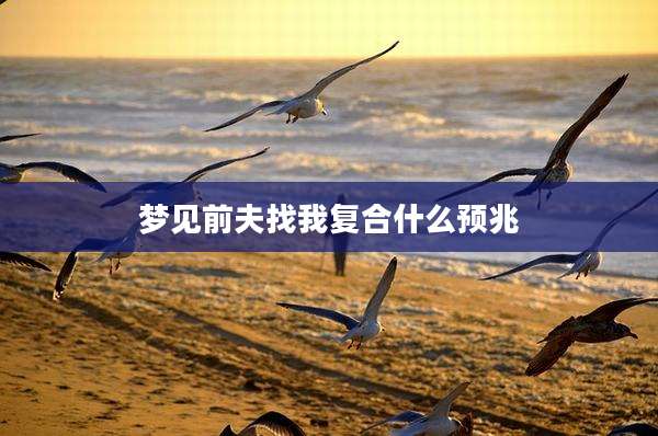梦见前夫找我复合什么预兆