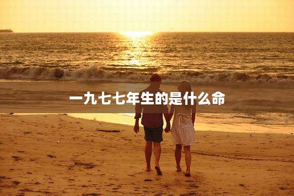一九七七年生的是什么命