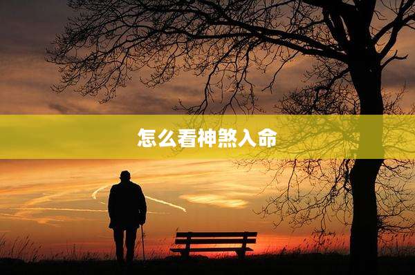 怎么看神煞入命