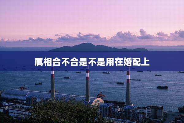 属相合不合是不是用在婚配上