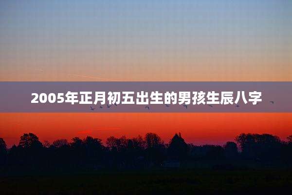2005年正月初五出生的男孩生辰八字