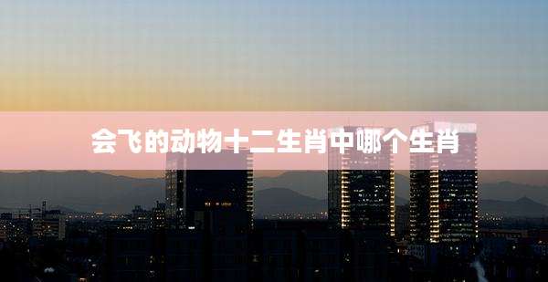 会飞的动物十二生肖中哪个生肖