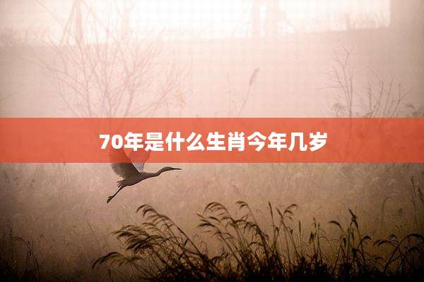 70年是什么生肖今年几岁
