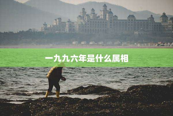 一九九六年是什么属相