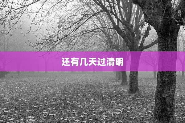 还有几天过清明