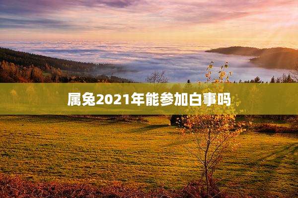 属兔2021年能参加白事吗
